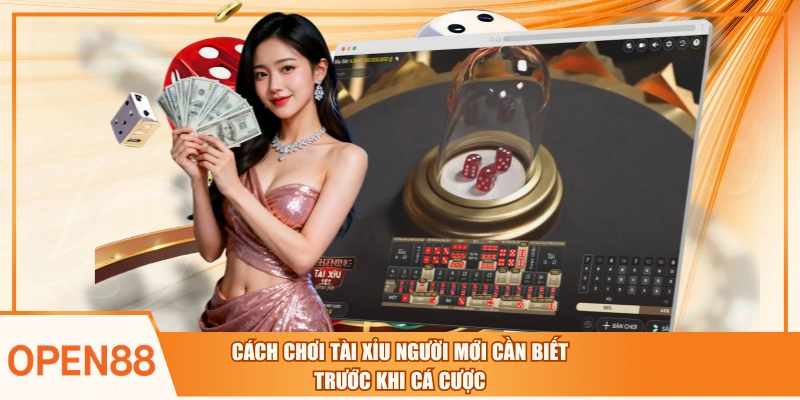 Cách Chơi Tài Xỉu Người Mới Cần Biết Trước Khi Cá Cược