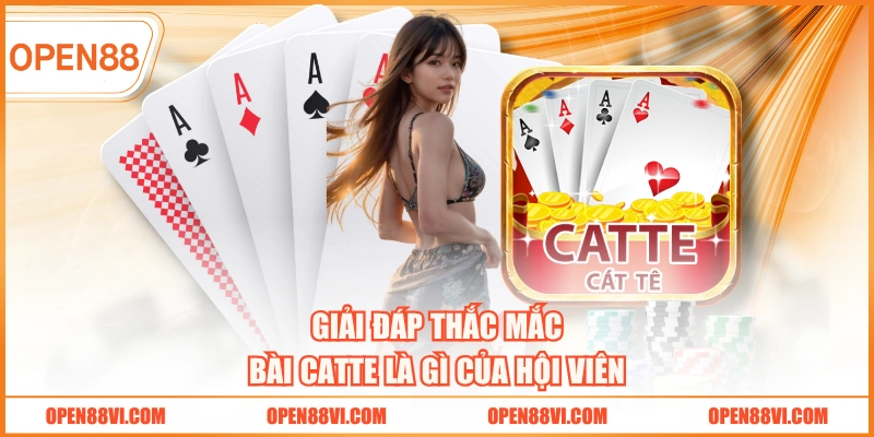 Giải đáp thắc mắc Bài Catte là gì của hội viên